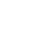 AutoIcon