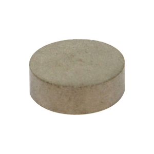 15mm x 5mm Samarium Disc